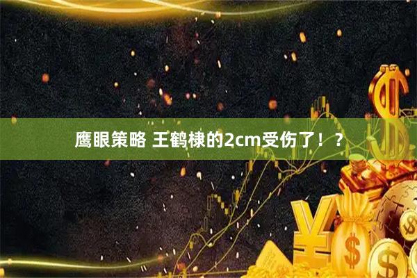 鹰眼策略 王鹤棣的2cm受伤了！？
