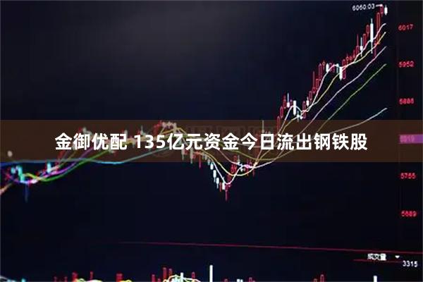 金御优配 135亿元资金今日流出钢铁股